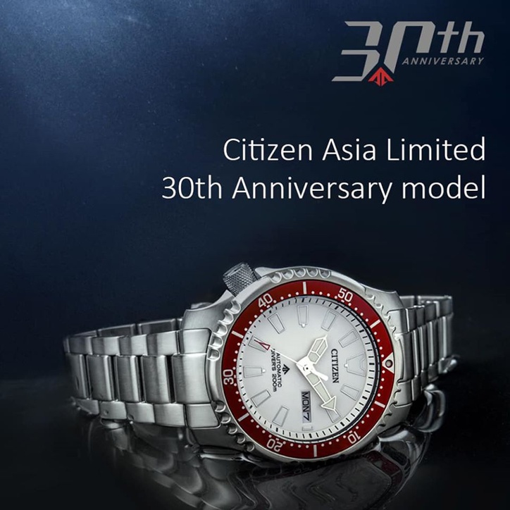 Citizen Promaster Fugu NY0098-87A