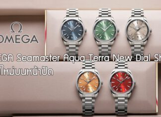 OMEGA Seamaster Aqua Terra New Dial Shade