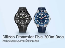 Citizen Promaster Dive 200m Orca