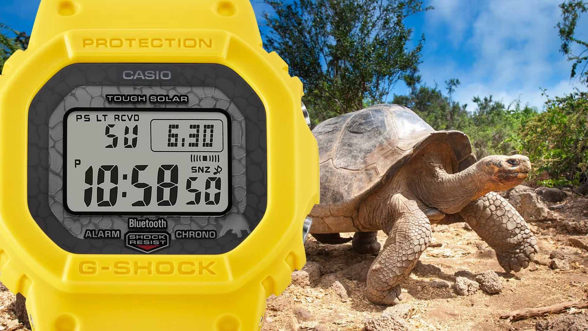 Casio G-SHOCK GW-B5600CD Charles Darwin Foundation