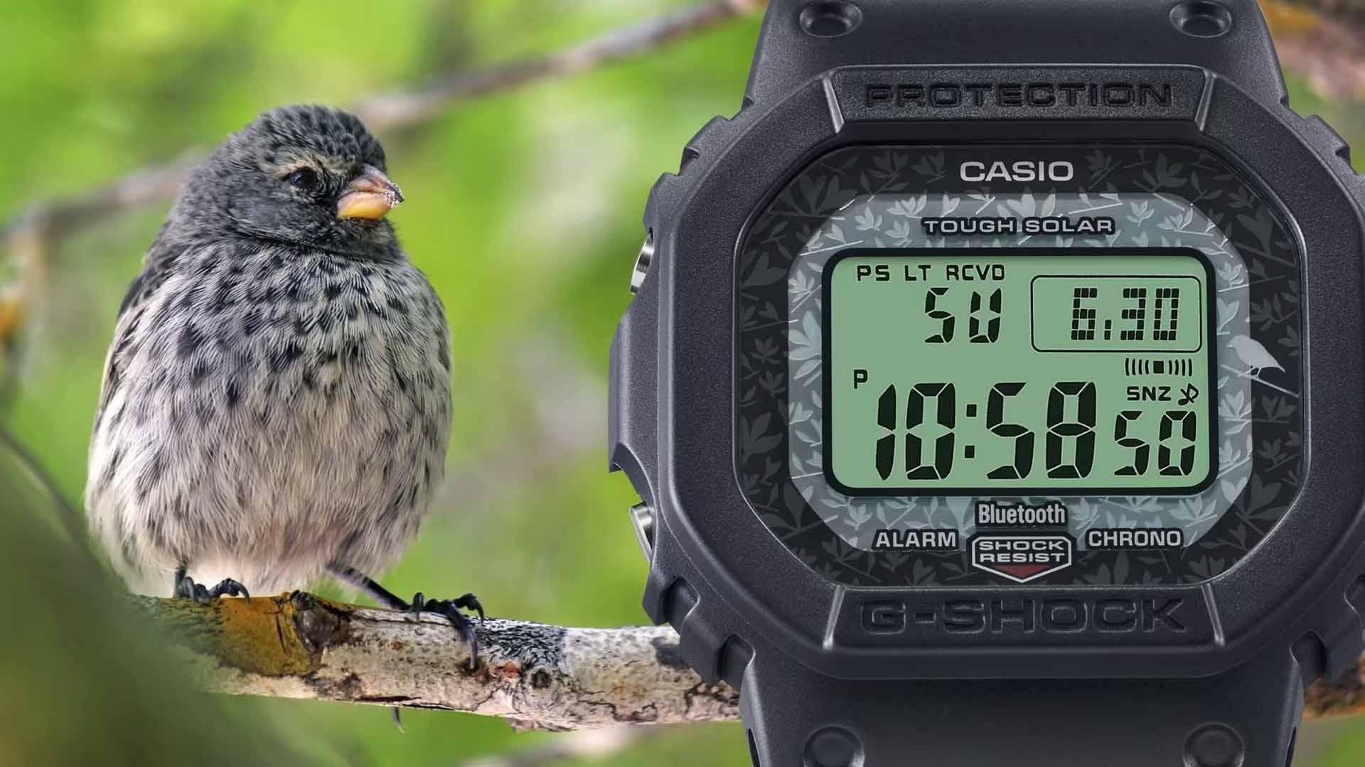 Casio G-SHOCK GW-B5600CD Charles Darwin Foundation