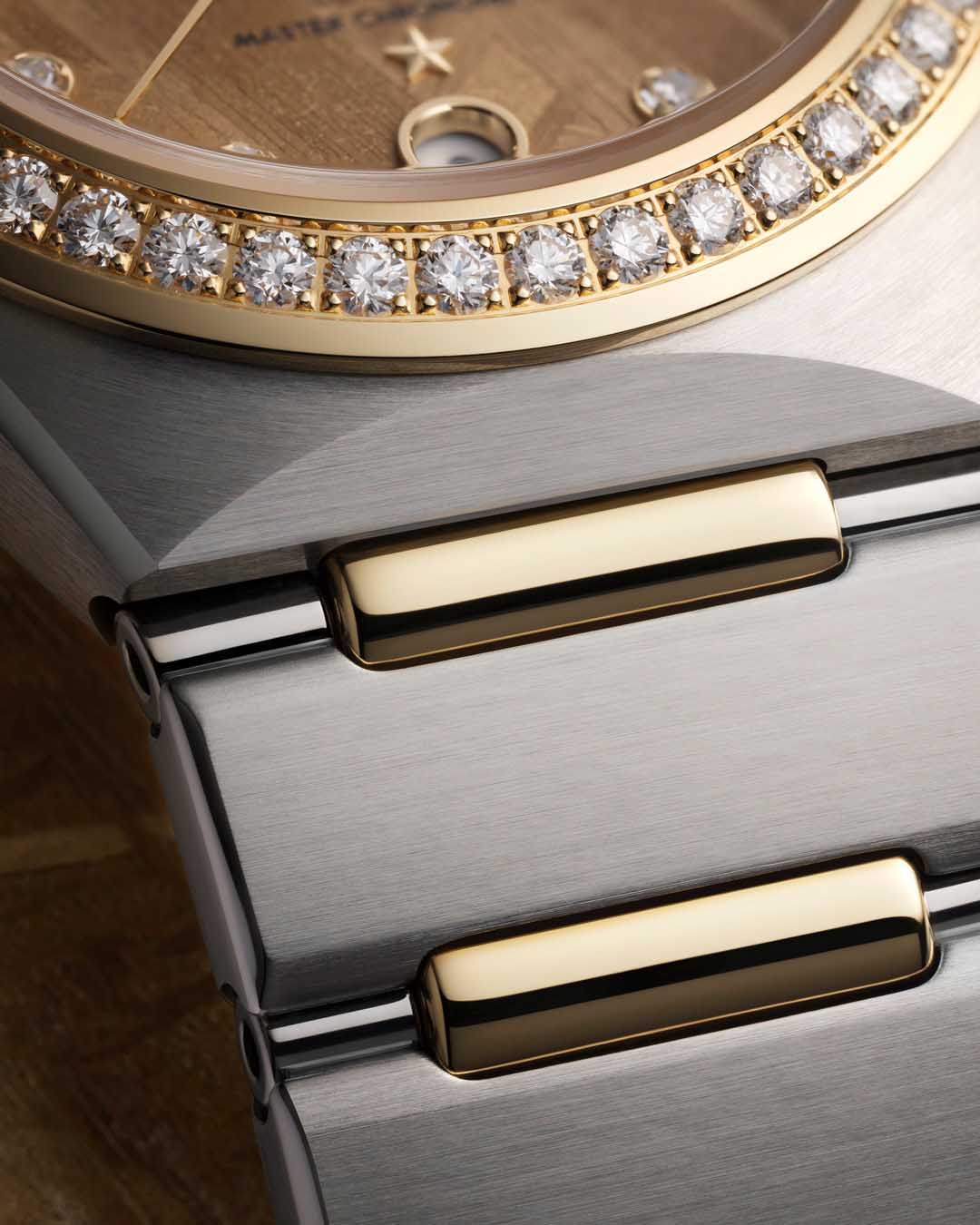 OMEGA Constellation Meteorite