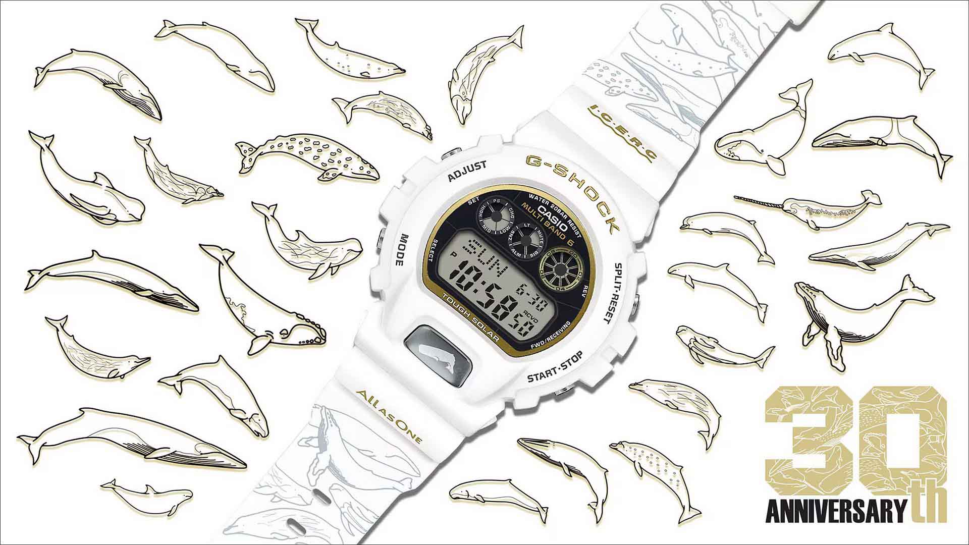 Casio G-SHOCK 30th Anniversary Love The Sea And The Earth