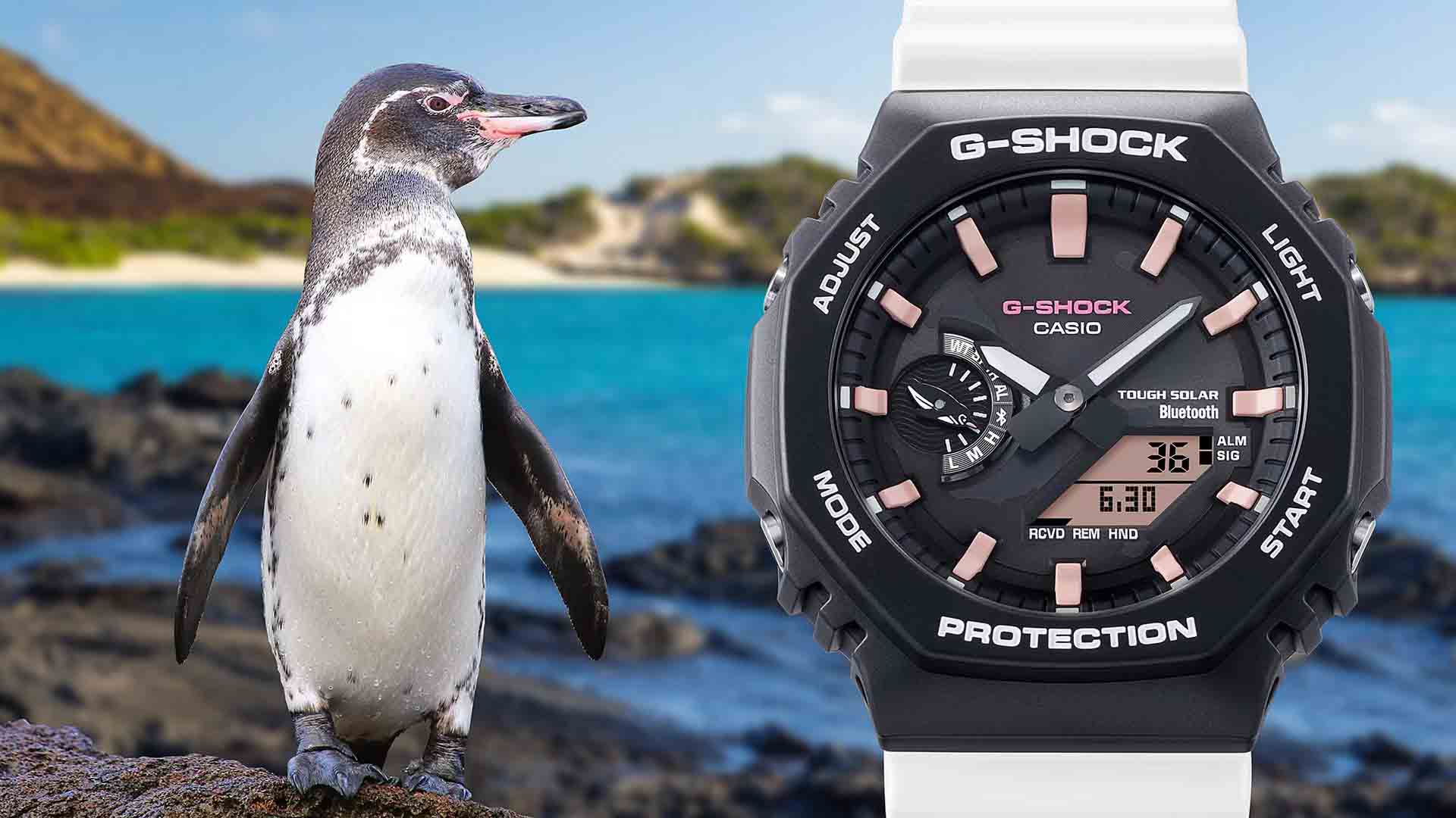 Casio G-SHOCK X Charles Darwin Foundation GA-B2100CD